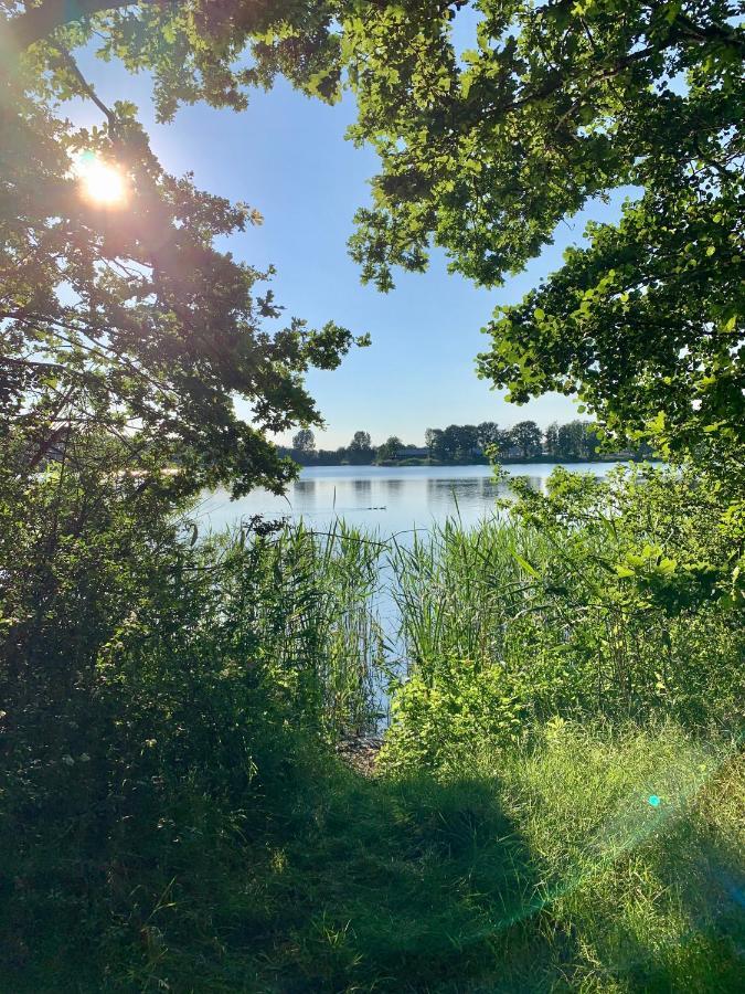 Ferienhaus Seeblick Am Harkebruegger See Mit Sauna Und Kamin Barssel  Exterior photo